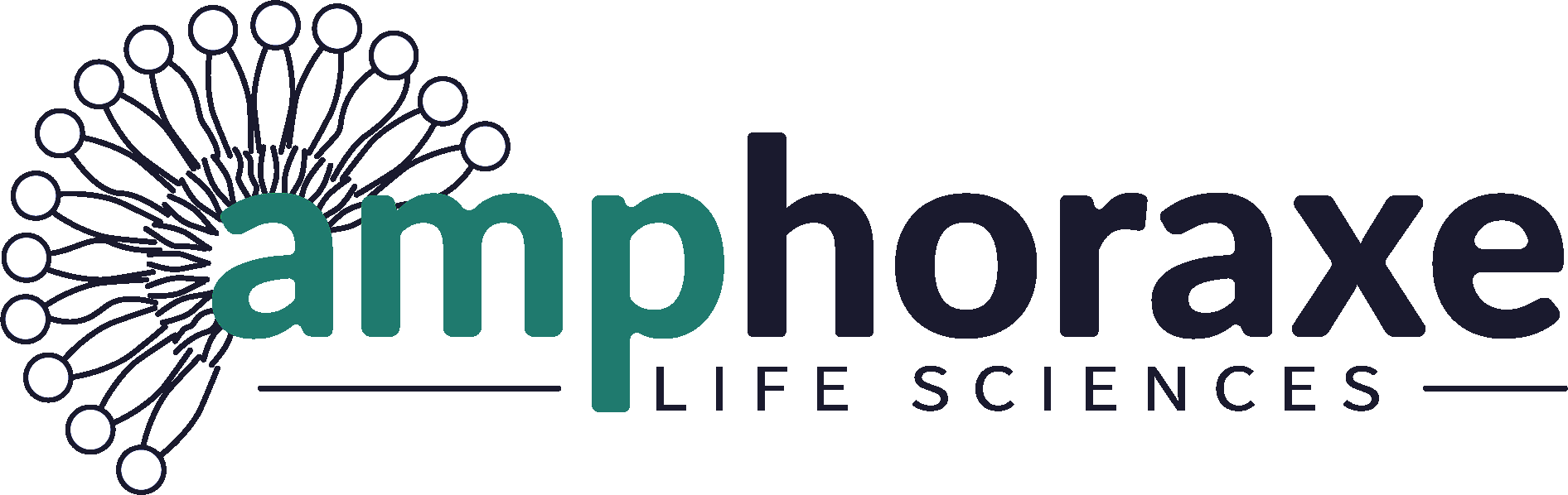 Amphoraxe logo