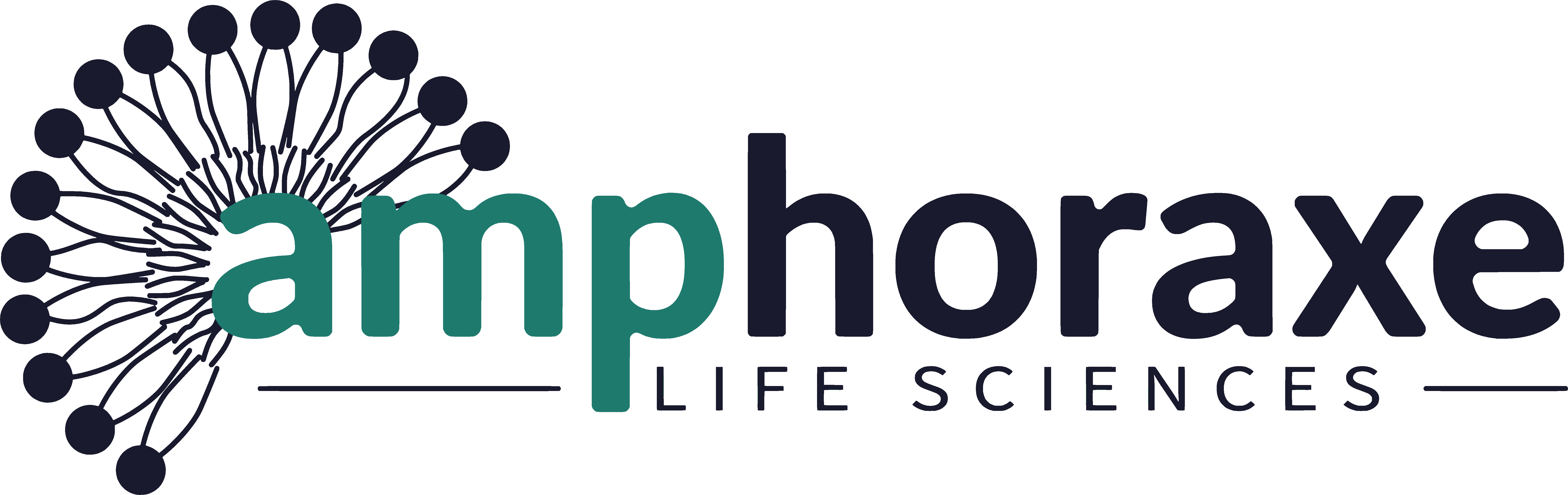 Amphoraxe logo