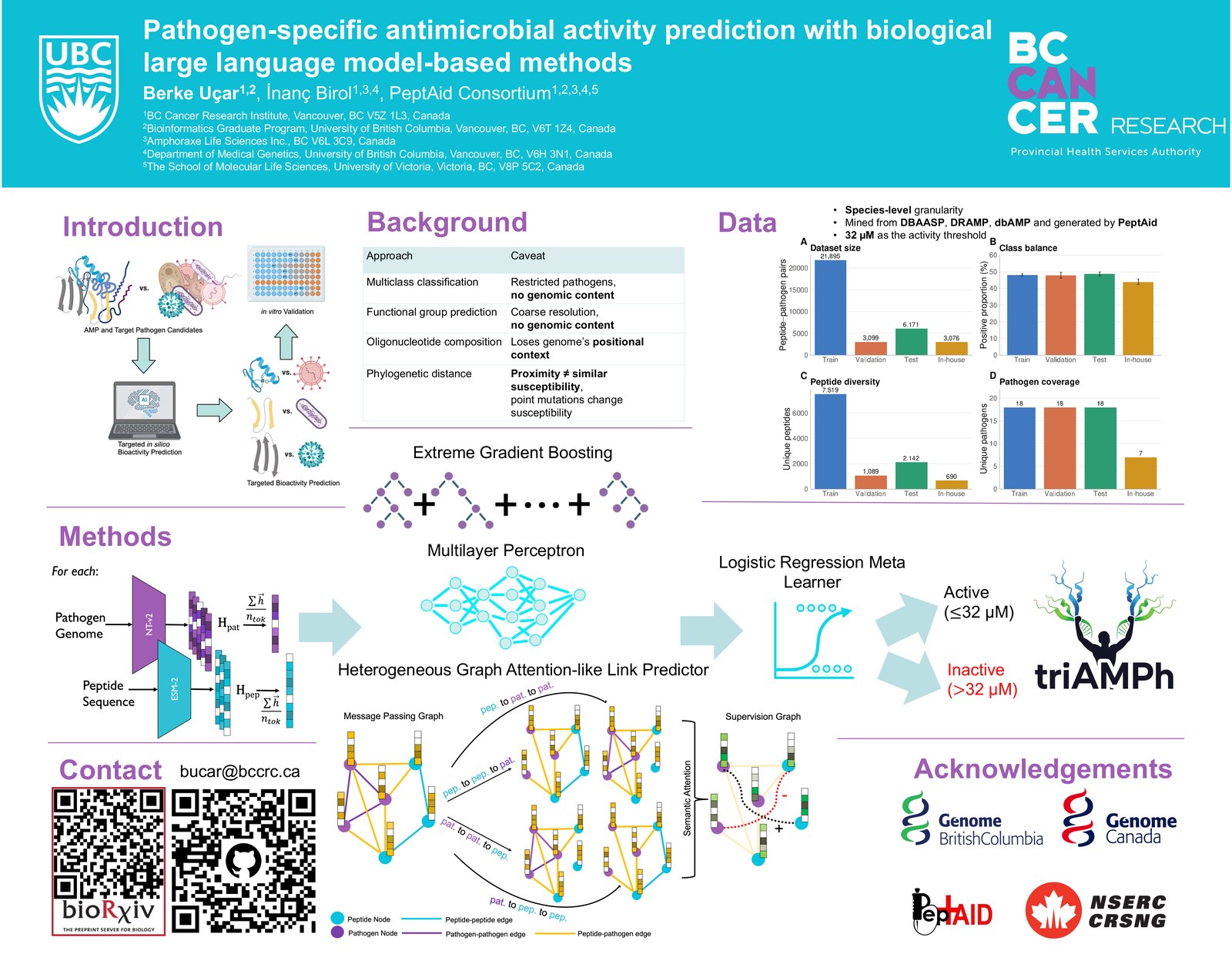 Top half of the triAMPh poster: introduction, background, the data summary, and the model architecture